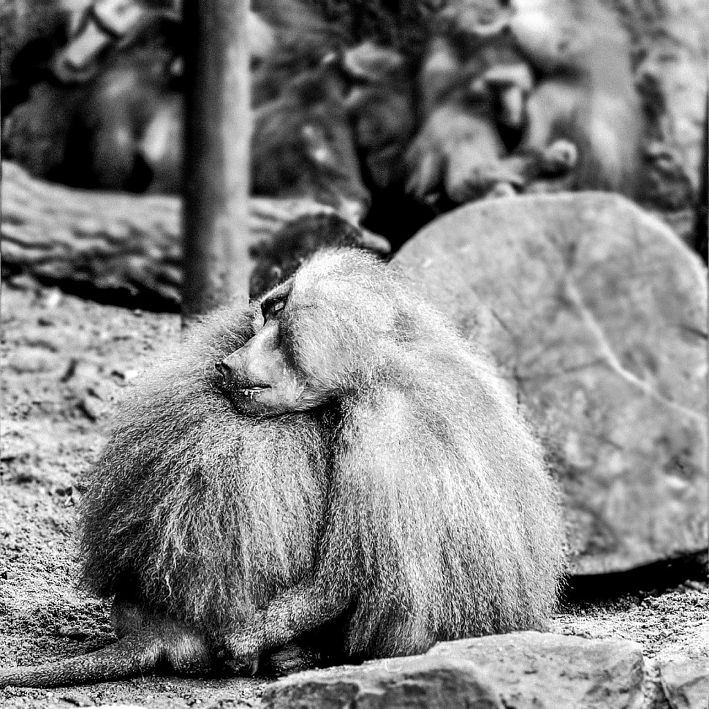 einfach mal abhängen